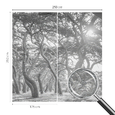 Otroška fototapeta Atmosferski gozd