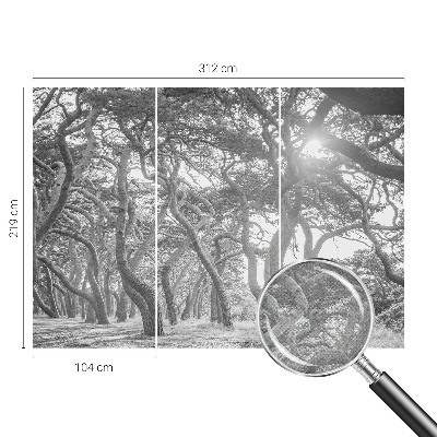 Otroška fototapeta z motivom atmosferskega gozda