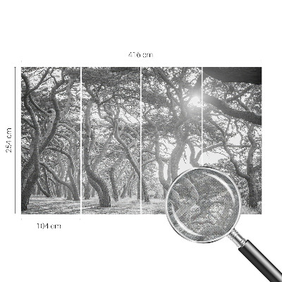 Otroška fototapeta Atmosferski gozd