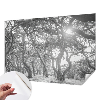 Otroška fototapeta z motivom atmosferskega gozda