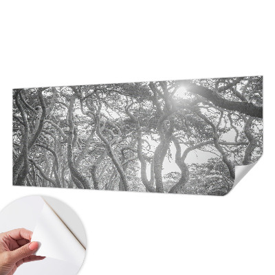 Otroška fototapeta z motivom atmosferskega gozda