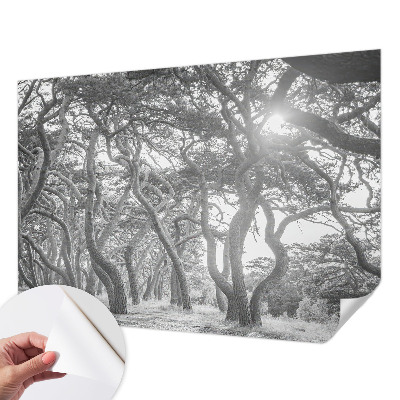 Otroška fototapeta z motivom atmosferskega gozda