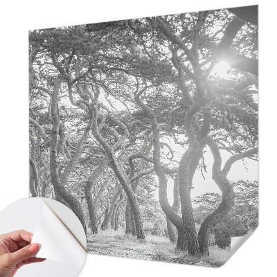 Otroška fototapeta z motivom atmosferskega gozda