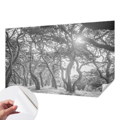 Otroška fototapeta z motivom atmosferskega gozda