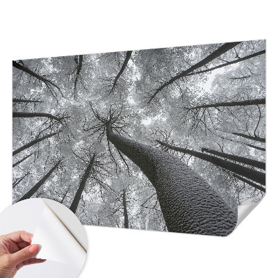 3D fototapeta z motivom zimske pokrajine