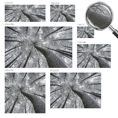 3D fototapeta z motivom zimske pokrajine