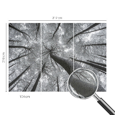 3D fototapeta z motivom zimske pokrajine