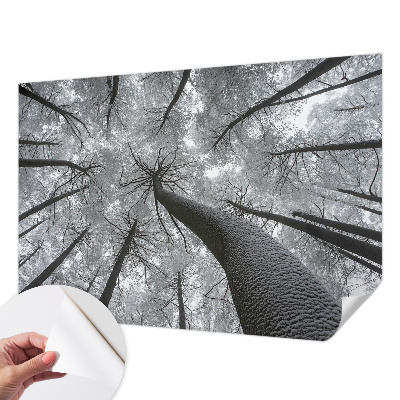 3D fototapeta z motivom zimske pokrajine