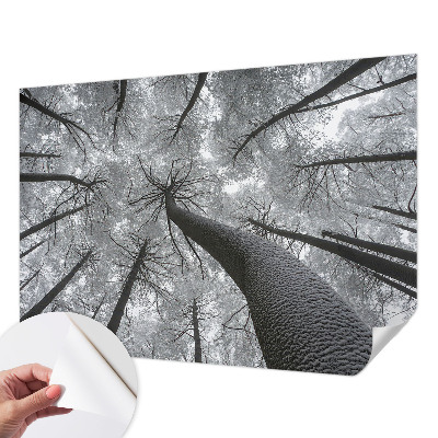 3D fototapeta z motivom zimske pokrajine