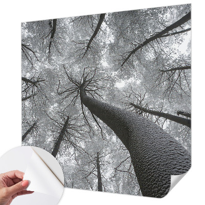 3D fototapeta z motivom zimske pokrajine