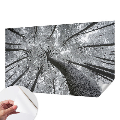 3D fototapeta z motivom zimske pokrajine