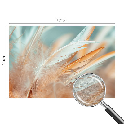Samolepilna fototapeta za dnevno sobo z motivom nežnega perja