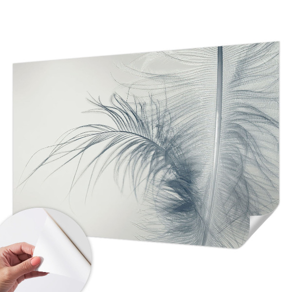 3D fototapeta z motivom nežnega peresa
