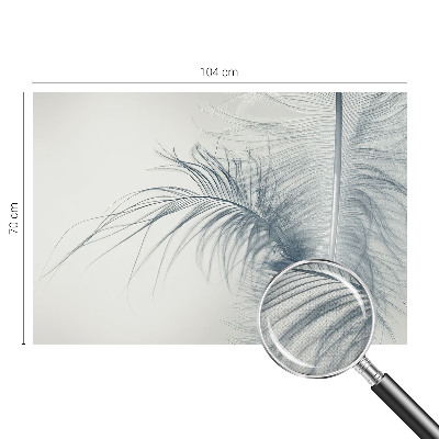 3D fototapeta z motivom nežnega peresa
