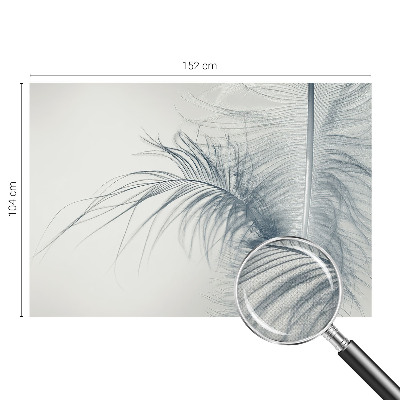 3D fototapeta z motivom nežnega peresa