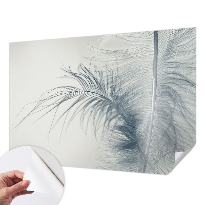 3D fototapeta z motivom nežnega peresa