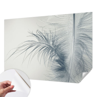 3D fototapeta z motivom nežnega peresa