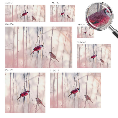 Samolepilna fototapeta za dnevno sobo Ptičji par