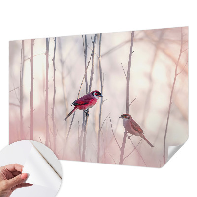 Samolepilna fototapeta za dnevno sobo Ptičji par