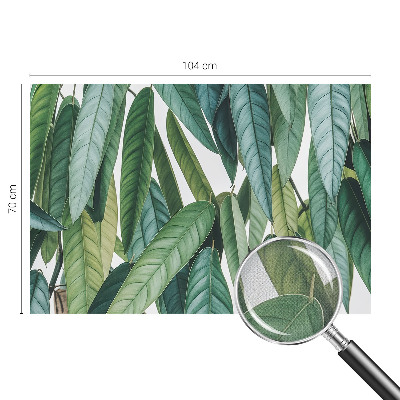 3D fototapeta Naravni listi