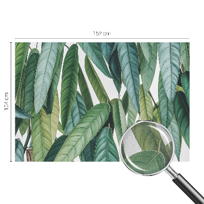 3D fototapeta Naravni listi