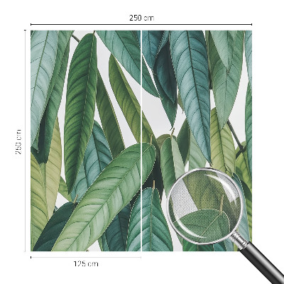 3D fototapeta z motivom naravnih listov