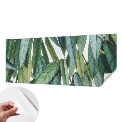 3D fototapeta z motivom naravnih listov