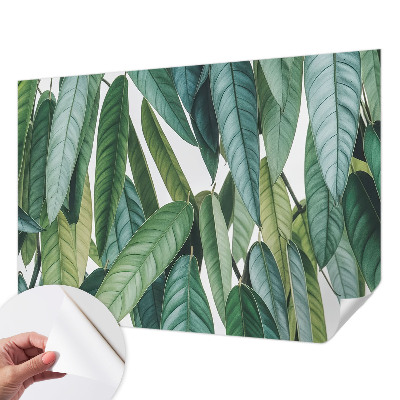 3D fototapeta z motivom naravnih listov