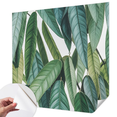 3D fototapeta z motivom naravnih listov