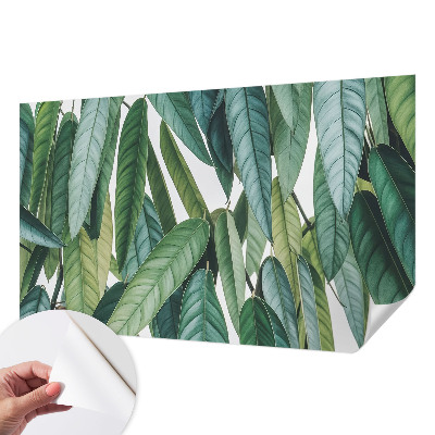 3D fototapeta z motivom naravnih listov