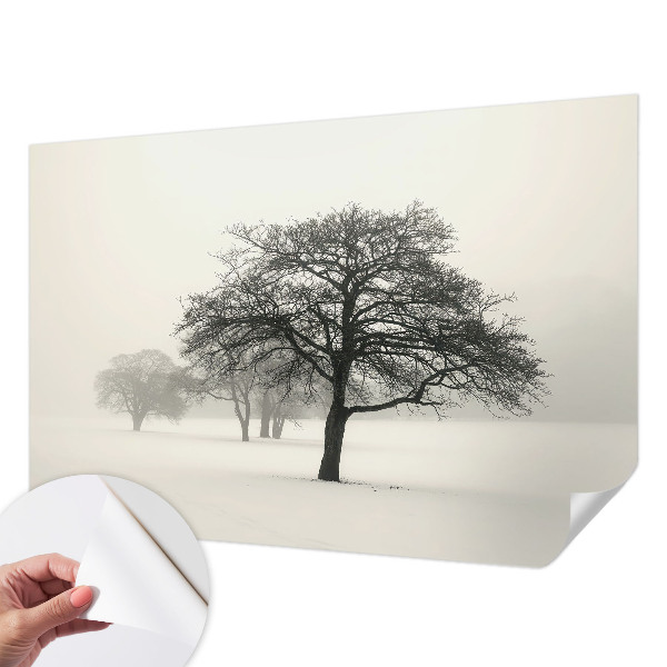 Samolepilna fototapeta z vzorcem zimskih dreves
