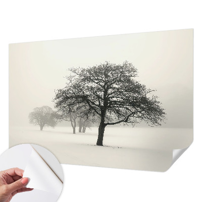Samolepilna fototapeta z vzorcem zimskih dreves