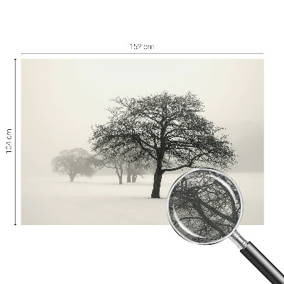 Samolepilna fototapeta z vzorcem zimskih dreves