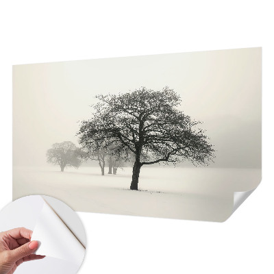 Samolepilna fototapeta z vzorcem zimskih dreves