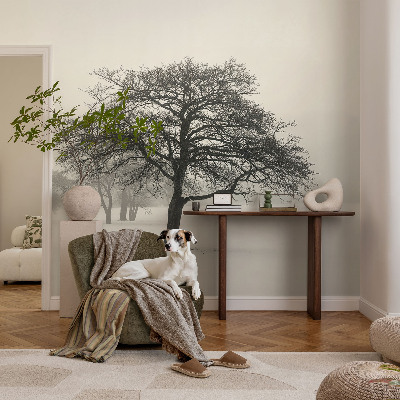 Samolepilna fototapeta Zimska drevesa