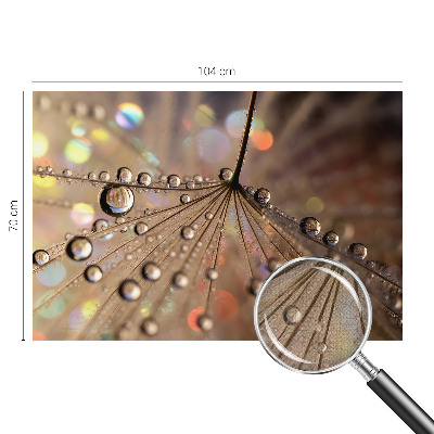 Samolepilna fototapeta Biserne kapljice