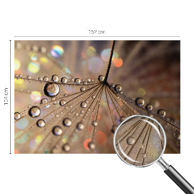 Samolepilna fototapeta Biserne kapljice