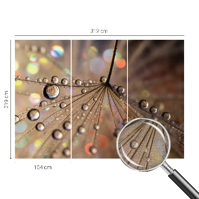 Samolepilna fototapeta Biserne kapljice