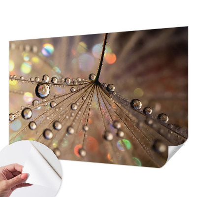 Samolepilna fototapeta Biserne kapljice