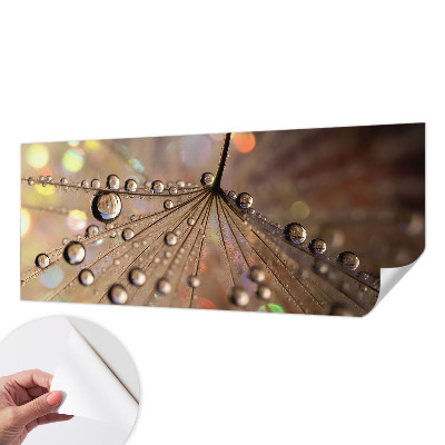 Samolepilna fototapeta Biserne kapljice