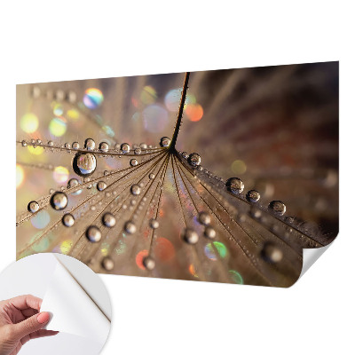 Samolepilna fototapeta z motivom bisernih kapljic