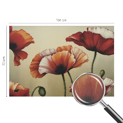 3D fototapeta z motivom veselih makov