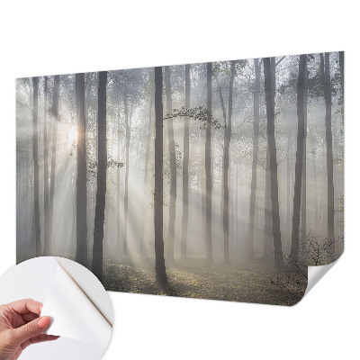 Samolepilna fototapeta z motivom eteričnega gozda