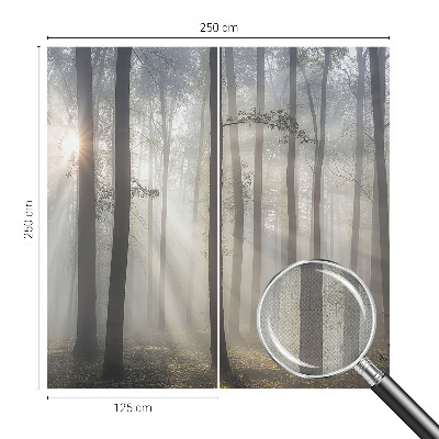 Samolepilna fototapeta z motivom eteričnega gozda