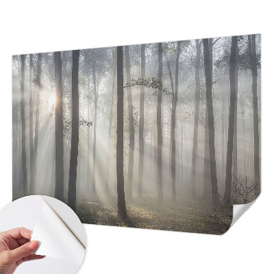 Samolepilna fototapeta z motivom eteričnega gozda