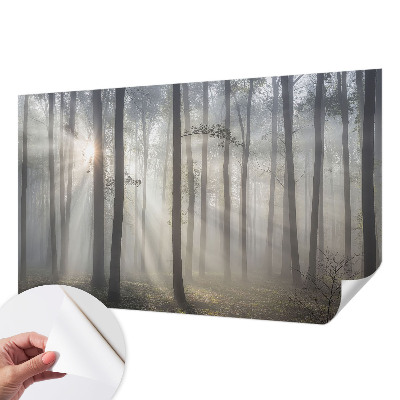 Samolepilna fototapeta z motivom eteričnega gozda