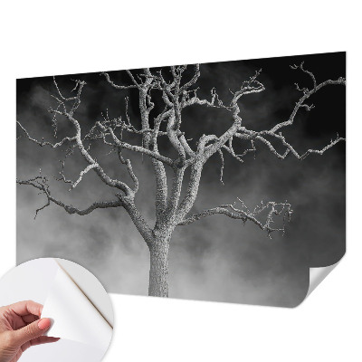 Samolepilna fototapeta z motivom meglenega drevesa