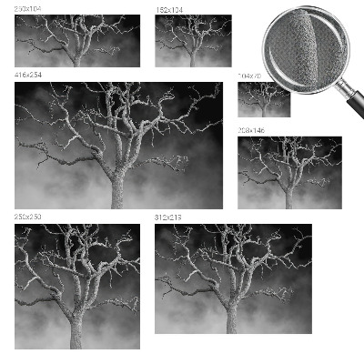 Samolepilna fototapeta z motivom meglenega drevesa