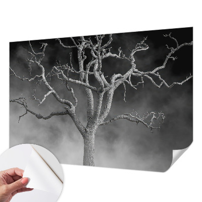 Samolepilna fototapeta z motivom meglenega drevesa