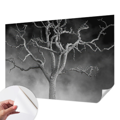 Samolepilna fototapeta z motivom meglenega drevesa